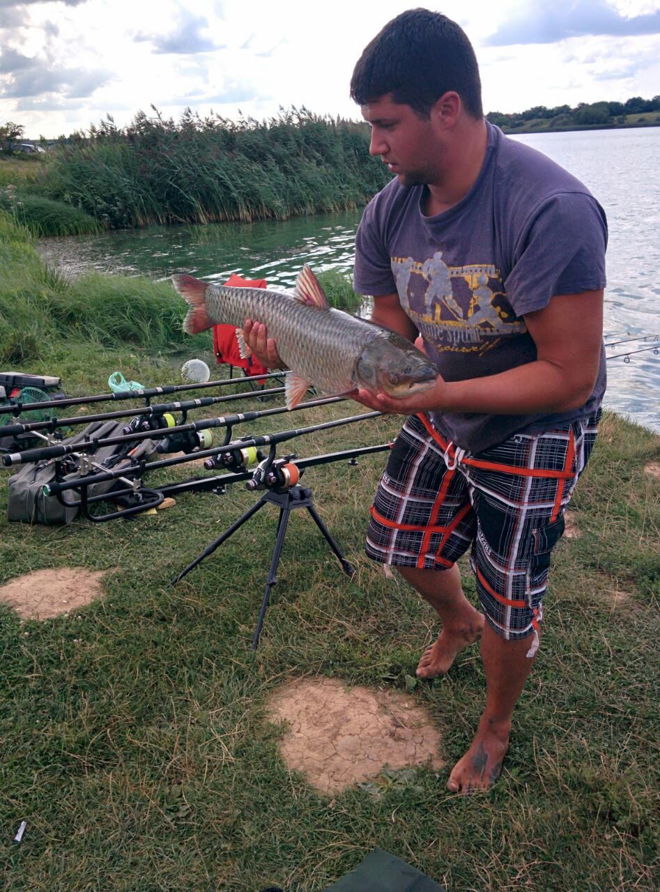 Pescuit la Crap - August 2014